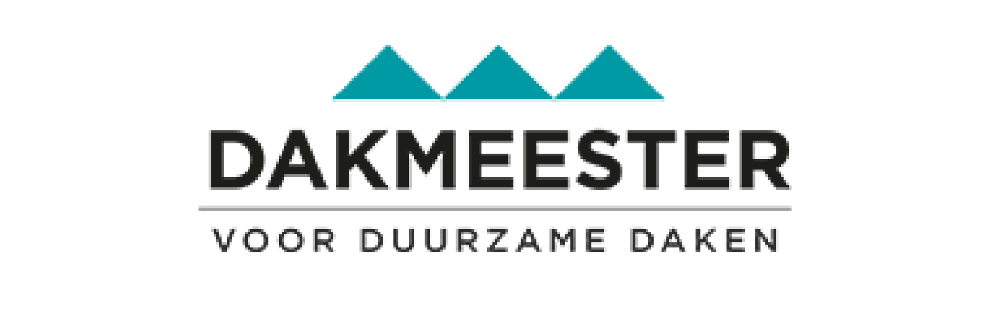 dakmeester